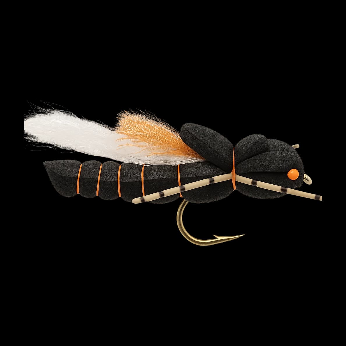Black Cicada