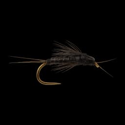 Black Stonefly Nymph
