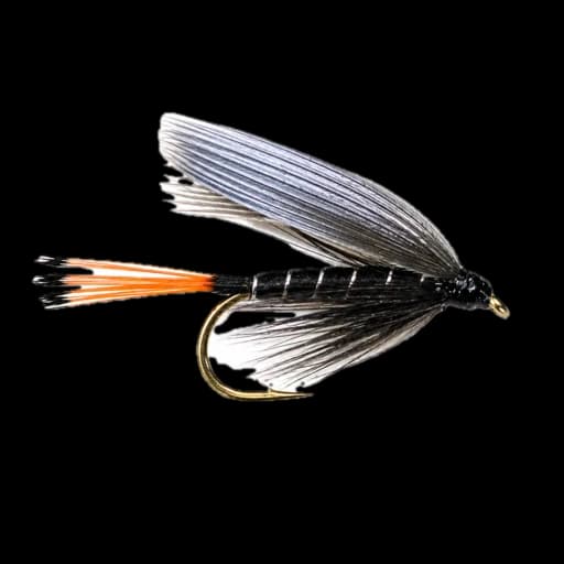 Down and Across Wet Fly fly pattern