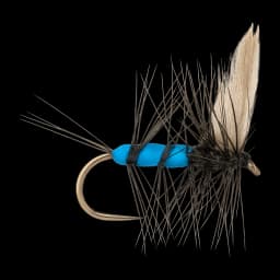 Blue Bottle