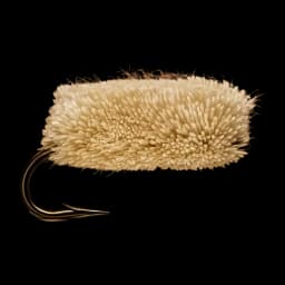 Bread Crust Fly
