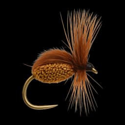 Brown Black Deer-Hair Dry