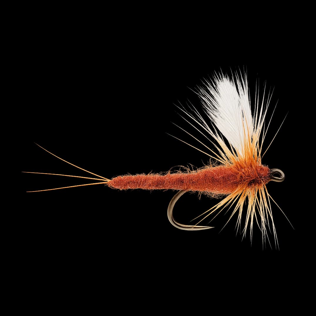 Brown Drake Spinner