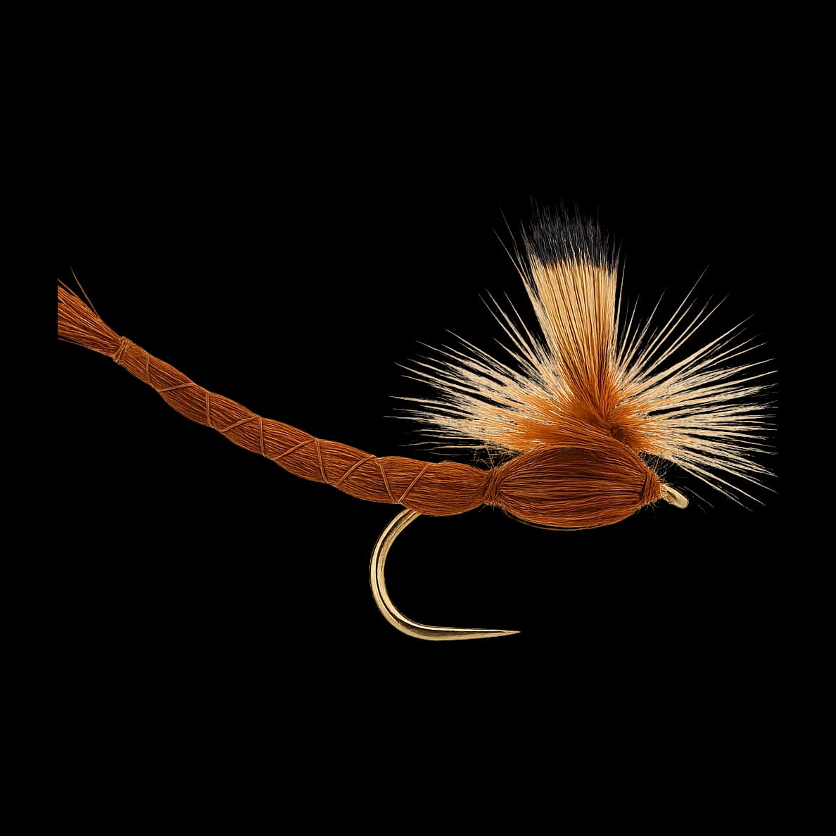 Brown Drake