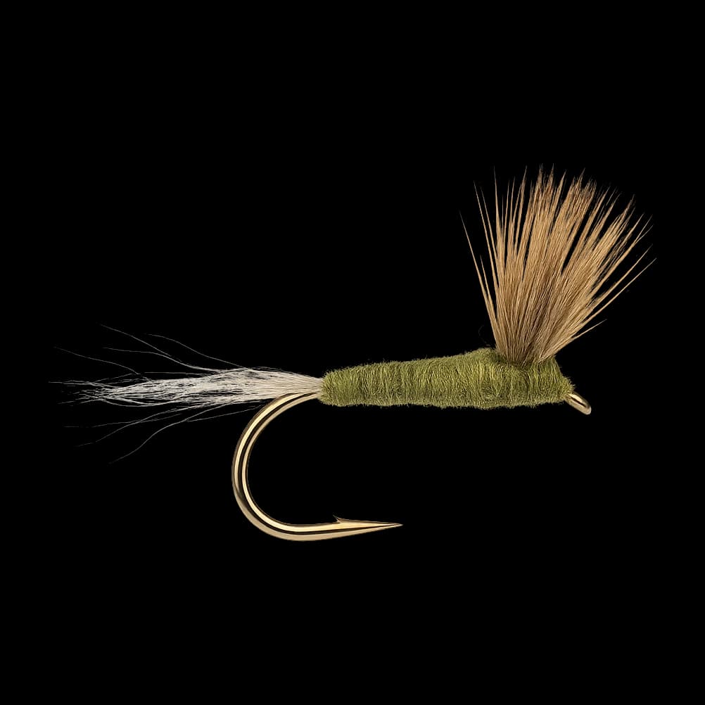 BWO Sparkle Dun