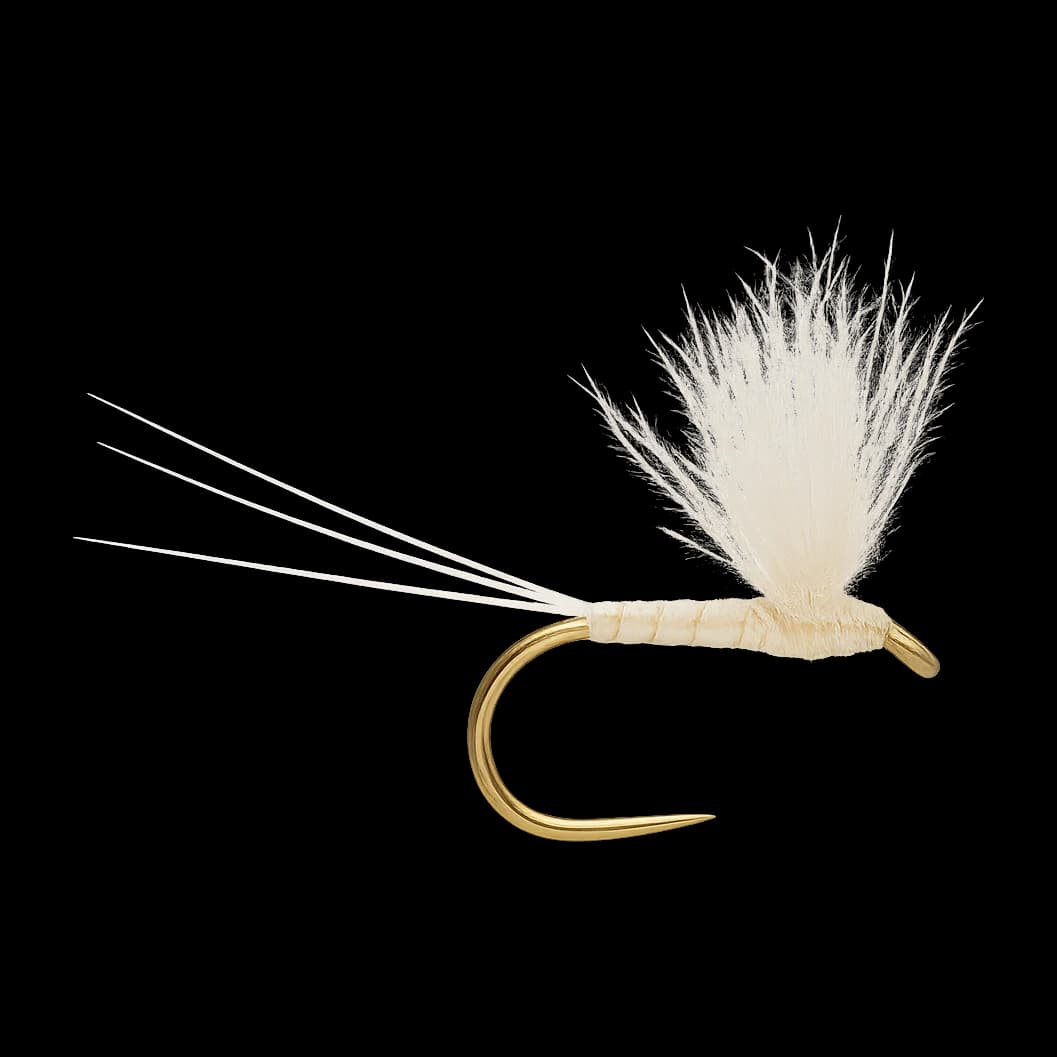 Caenis Spinner
