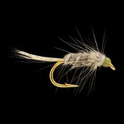 Callibaetis Nymph