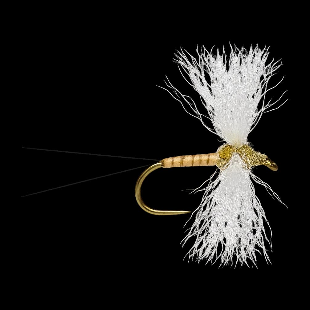 Callibaetis Spinner