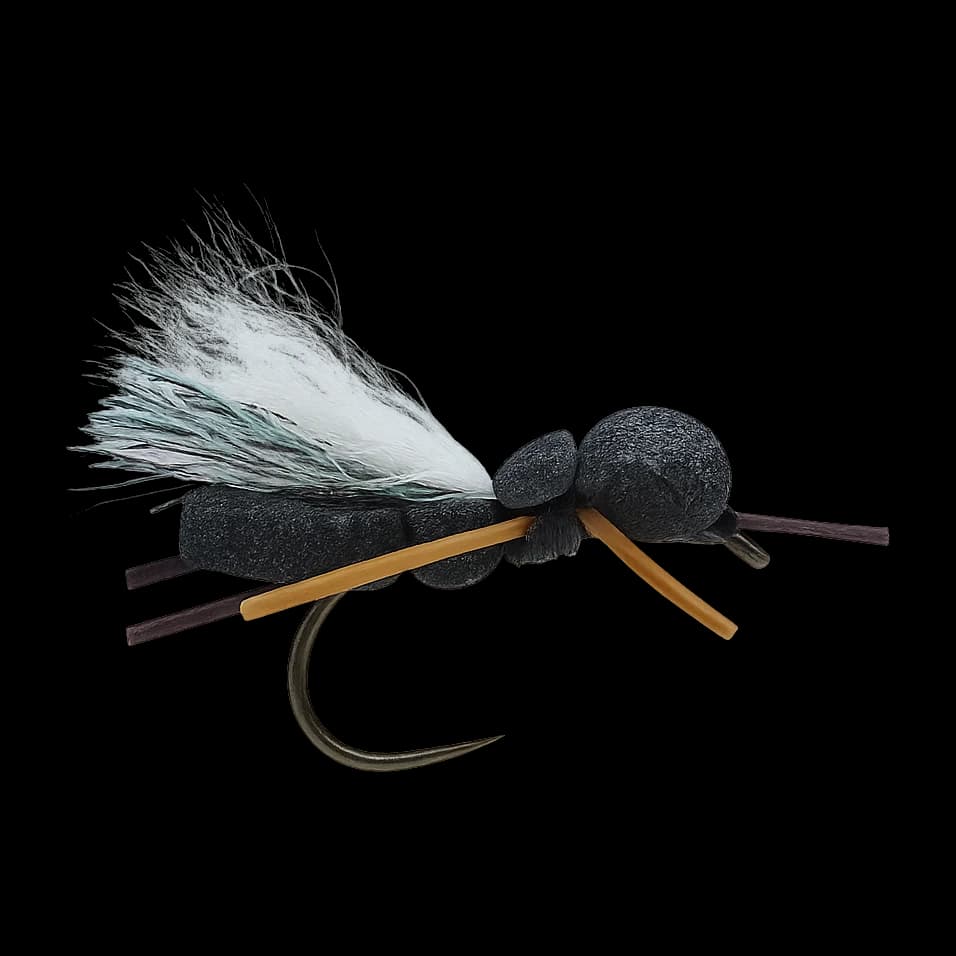 Carl's Cicada