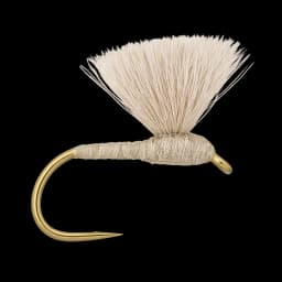 Suspended Bread Fly