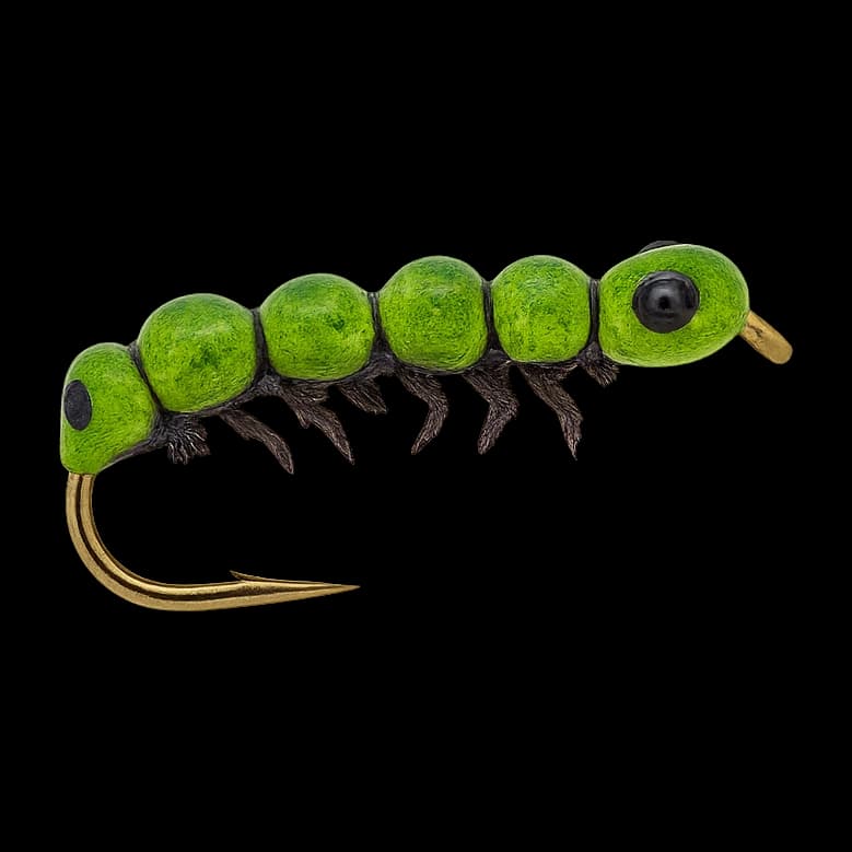 Caterpillar
