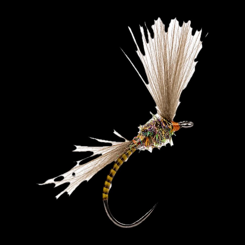 CDC Olive Emerger