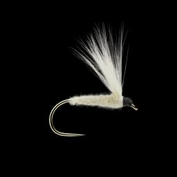 CDC F-Fly White