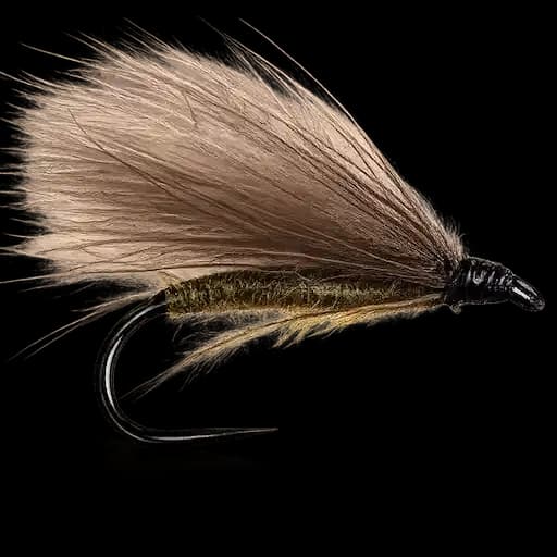 CDC Sedge