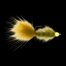Char Balanced Leech