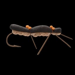 Chernobyl Ant