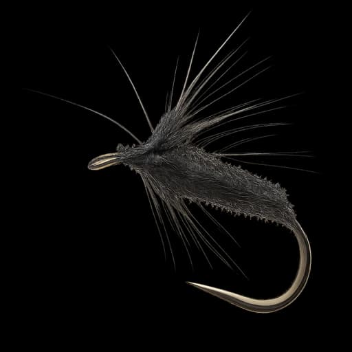Chub Black Peacock Spider fly
