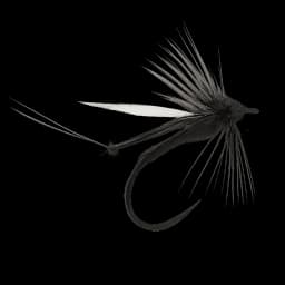 Chub Hawthorn Fly
