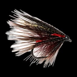 Claret & Black Dabbler