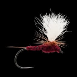 Claret Spinner