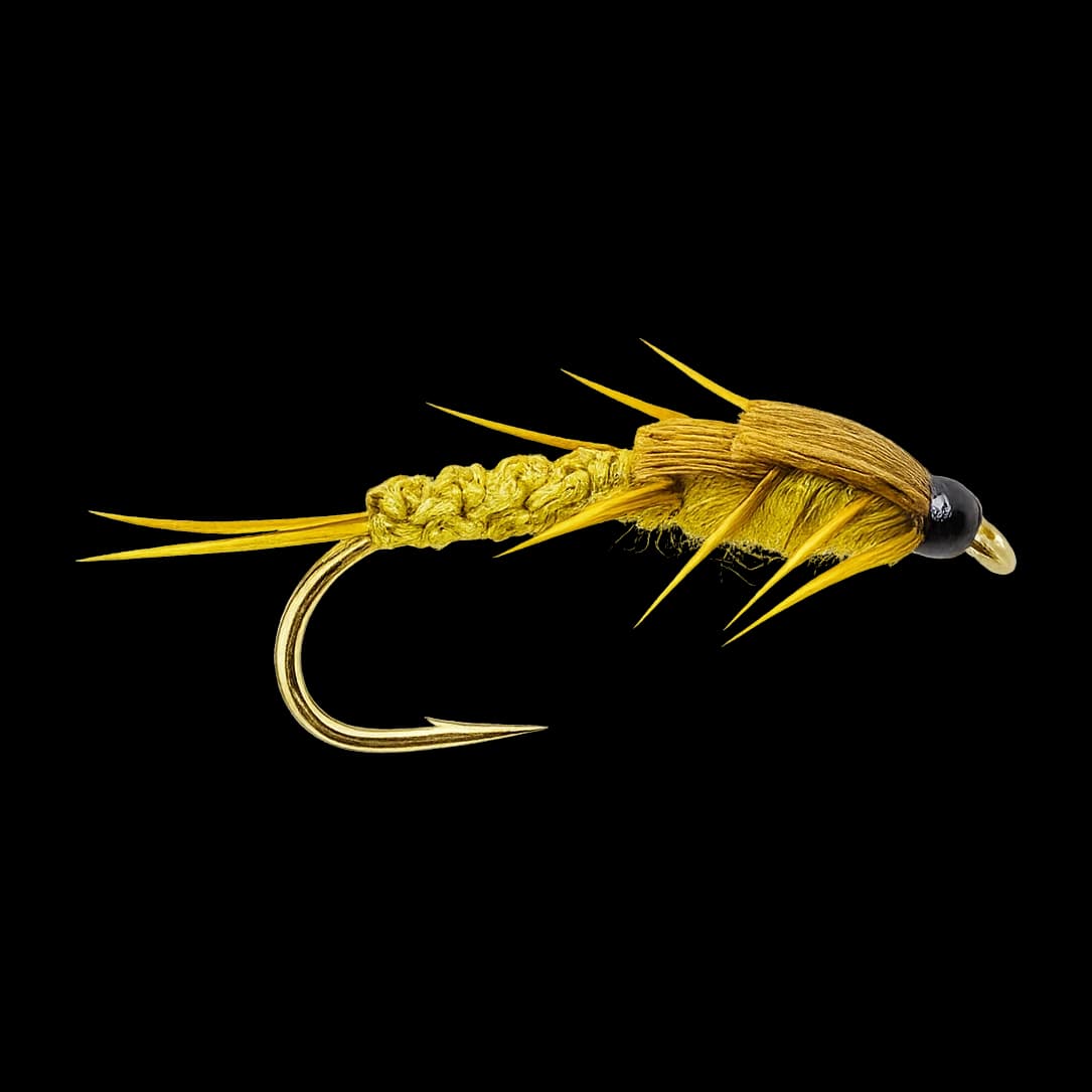 Creeper Nymph