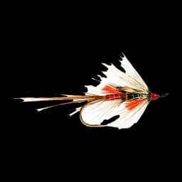 Curry's Red Shrimp (Jig Style)