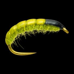 Czech Nymph