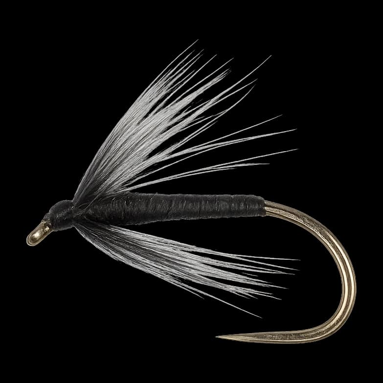 Dark Needle