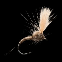Deleatidium CDC Emerger