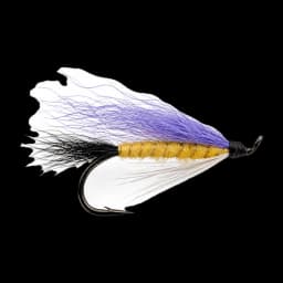 Dolly Varden