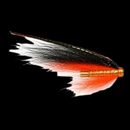 Dovey Black & Orange