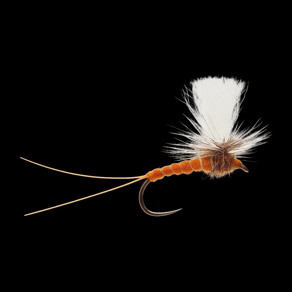 Extended-body Brown Drake