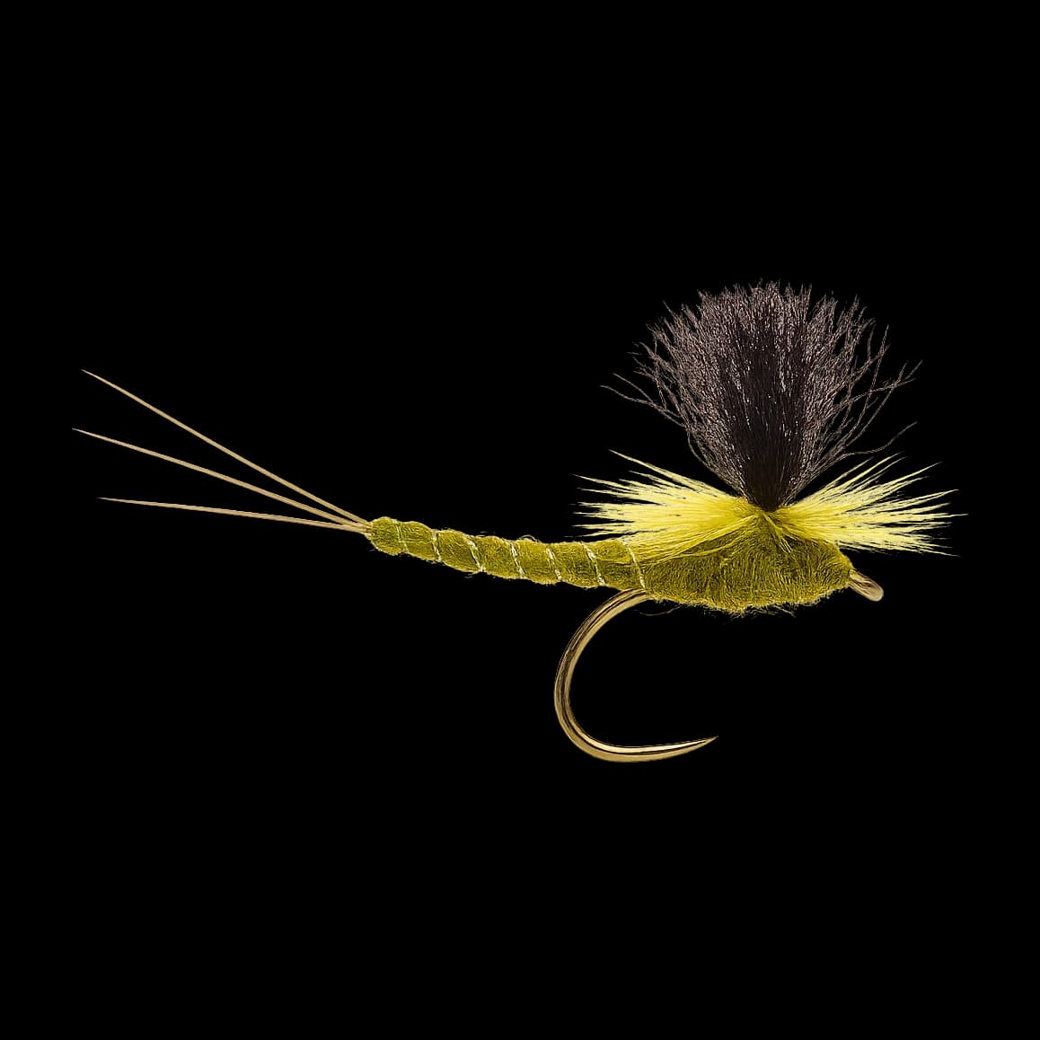 Extended-body Green Drake