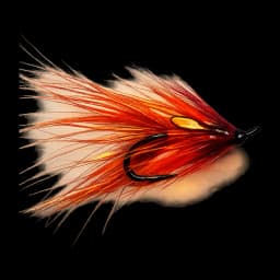 Faughan Shrimp