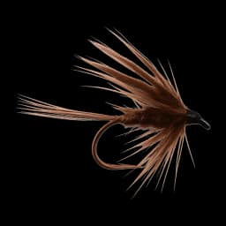 Fiery Brown Dabbler