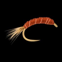 Flexi Shrimp