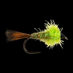 Fluorescent Fritz