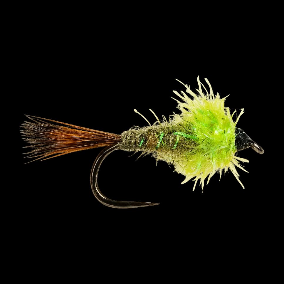 Fluorescent Fritz