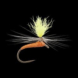 Fluorescent Para-Spinner