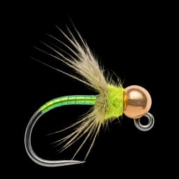 French Migrator Tungsten Nymph