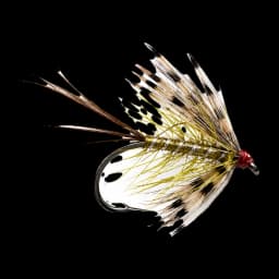 French Partridge