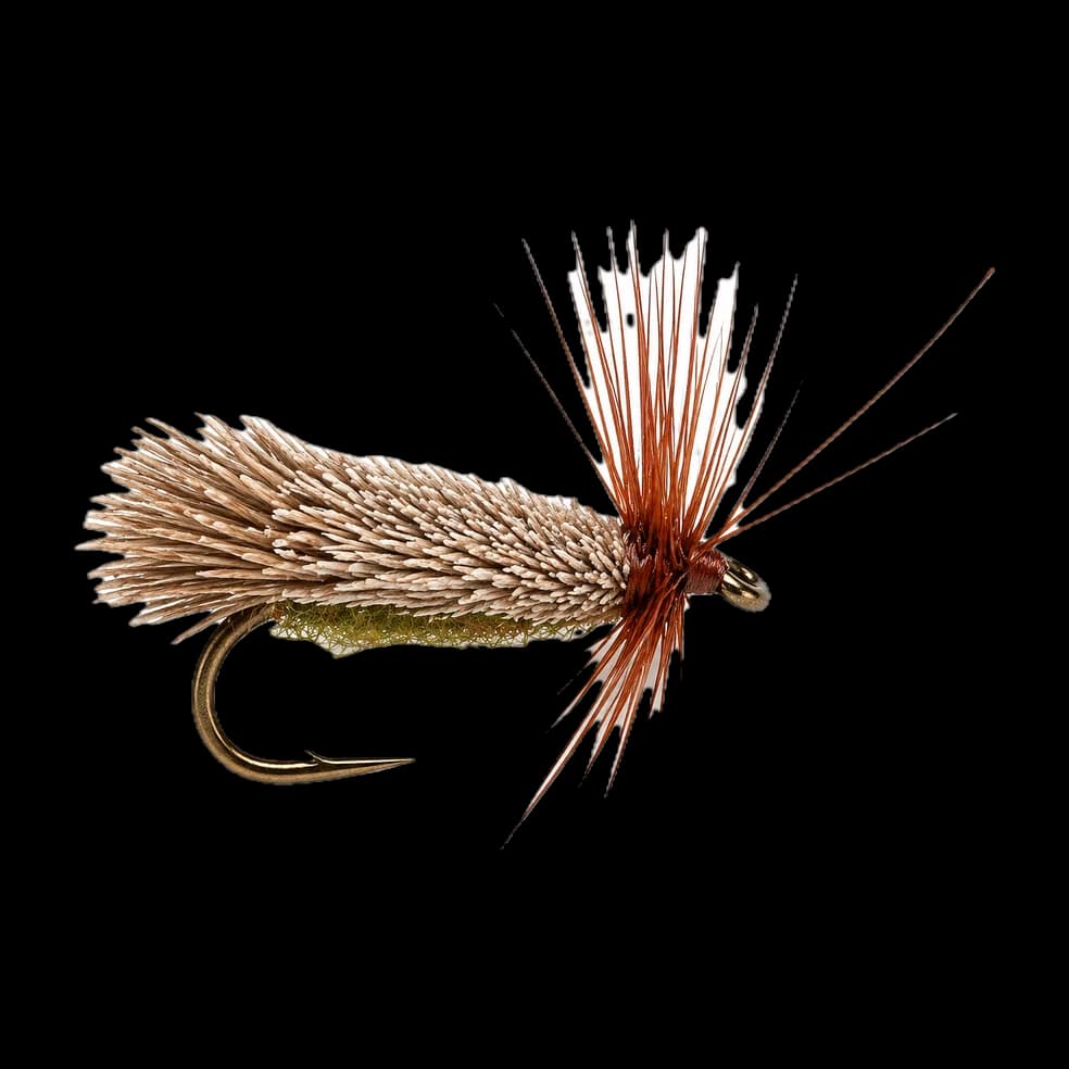 G&H Sedge