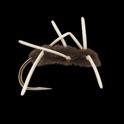 Girdle Bug