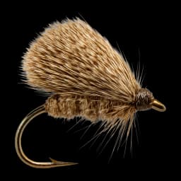 Goddard's Caddis