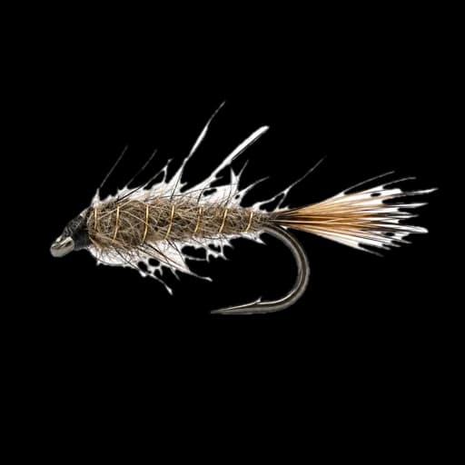 Gold Ribbed Hare's Ear