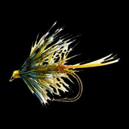 Golden Olive Bumble