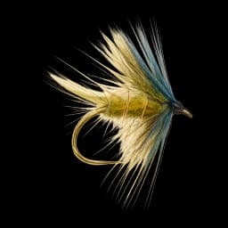 Golden Olive