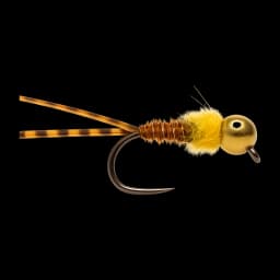 Golden Stone Nymph
