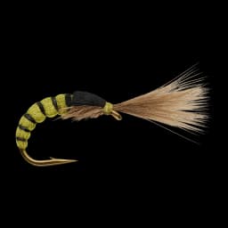Grannom Pupa CDC Emerger