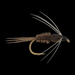 Gray Drake Nymph